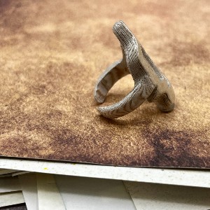 Side view of a student-created ring